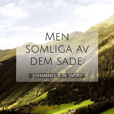 Picture 07 - Johannes 11:36 SV1917 - Men somliga av dem - Bible Verse Picture