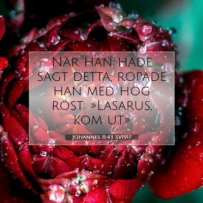 Picture 07 - Johannes 11:43 SV1917 - När han hade sagt detta, ropade han med hög - Bible Verse Picture