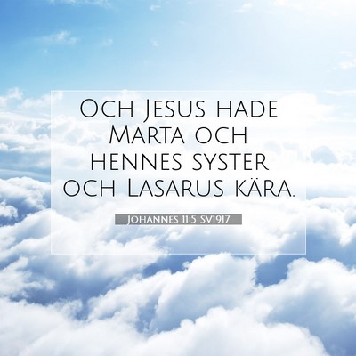 Picture 07 - Johannes 11:5 SV1917 - Och Jesus hade Marta och hennes syster och - Bible Verse Picture