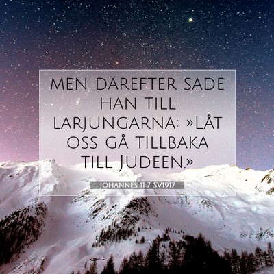 Picture 07 - Johannes 11:7 SV1917 - men därefter sade han till lärjungarna: »Låt - Bible Verse Picture