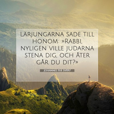 Picture 07 - Johannes 11:8 SV1917 - Lärjungarna sade till honom: »Rabbi, nyligen - Bible Verse Picture