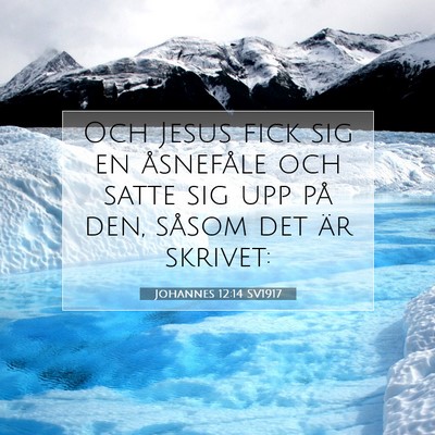 Picture 07 - Johannes 12:14 SV1917 - Och Jesus fick sig en åsnefåle och satte sig - Bible Verse Picture