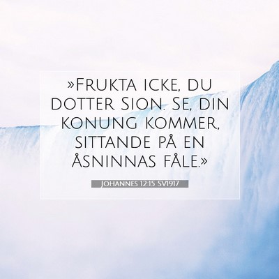 Picture 07 - Johannes 12:15 SV1917 - »Frukta icke, du dotter Sion. Se, din konung - Bible Verse Picture