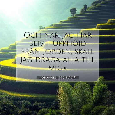 Picture 07 - Johannes 12:32 SV1917 - Och när jag har blivit upphöjd från jorden, - Bible Verse Picture