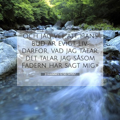 Picture 07 - Johannes 12:50 SV1917 - Och jag vet att hans bud är evigt liv; därför, - Bible Verse Picture