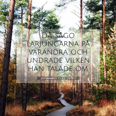 Picture 07 - Johannes 13:22 SV1917 - Då sågo lärjungarna på varandra och undrade - Bible Verse Picture