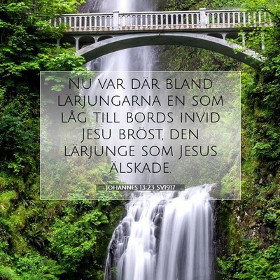 Picture 07 - Johannes 13:23 SV1917 - Nu var där bland lärjungarna en som låg till - Bible Verse Picture