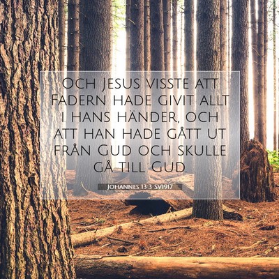 Picture 07 - Johannes 13:3 SV1917 - Och Jesus visste att Fadern hade givit allt i - Bible Verse Picture