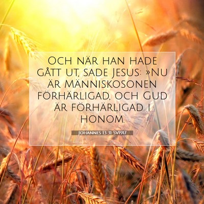Picture 07 - Johannes 13:31 SV1917 - Och när han hade gått ut, sade Jesus: »Nu är - Bible Verse Picture