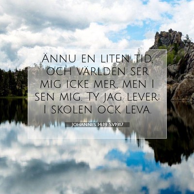Picture 07 - Johannes 14:19 SV1917 - Ännu en liten tid, och världen ser mig icke - Bible Verse Picture