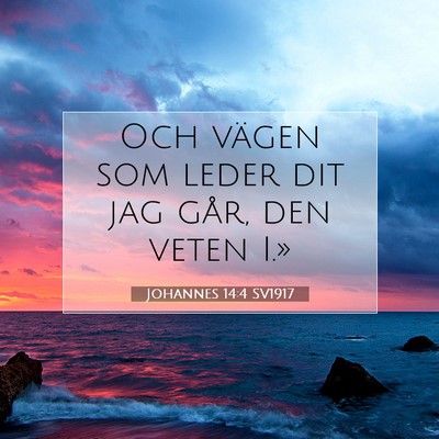 Picture 07 - Johannes 14:4 SV1917 - Och vägen som leder dit jag går, den veten - Bible Verse Picture