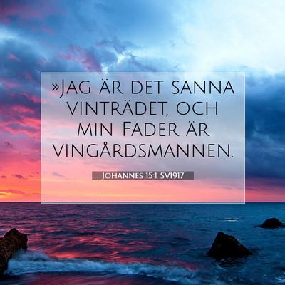 Picture 07 - Johannes 15:1 SV1917 - »Jag är det sanna vinträdet, och min Fader är - Bible Verse Picture