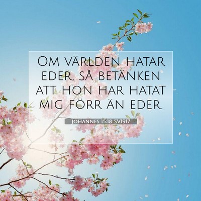 Picture 07 - Johannes 15:18 SV1917 - Om världen hatar eder, så betänken att hon har - Bible Verse Picture