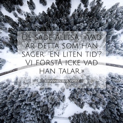 Picture 07 - Johannes 16:18 SV1917 - De sade alltså: »Vad är detta som han säger: - Bible Verse Picture