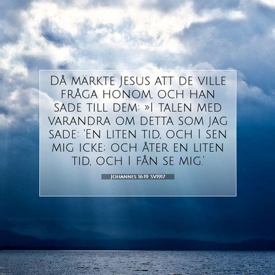 Picture 07 - Johannes 16:19 SV1917 - Då märkte Jesus att de ville fråga honom, och - Bible Verse Picture
