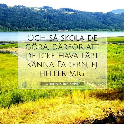 Picture 07 - Johannes 16:3 SV1917 - Och så skola de göra, därför att de icke hava - Bible Verse Picture