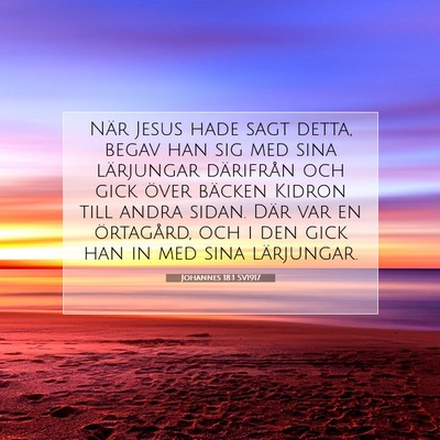 Picture 07 - Johannes 18:1 SV1917 - När Jesus hade sagt detta, begav han sig med - Bible Verse Picture