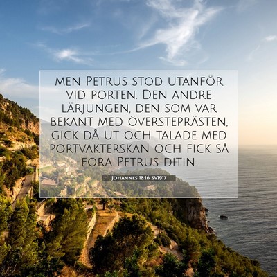 Picture 07 - Johannes 18:16 SV1917 - men Petrus stod utanför vid porten. Den andre - Bible Verse Picture