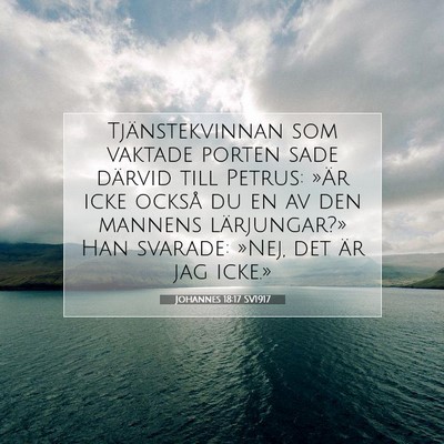 Picture 07 - Johannes 18:17 SV1917 - Tjänstekvinnan som vaktade porten sade därvid - Bible Verse Picture