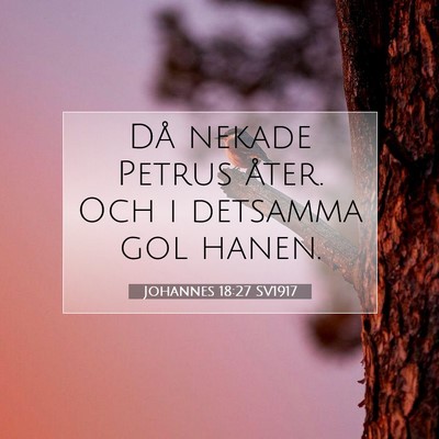 Picture 07 - Johannes 18:27 SV1917 - Då nekade Petrus åter. Och i detsamma gol - Bible Verse Picture