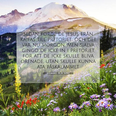 Picture 07 - Johannes 18:28 SV1917 - Sedan förde de Jesus från Kaifas till - Bible Verse Picture