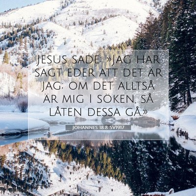 Picture 07 - Johannes 18:8 SV1917 - Jesus sade: »Jag har sagt eder att det är jag; - Bible Verse Picture