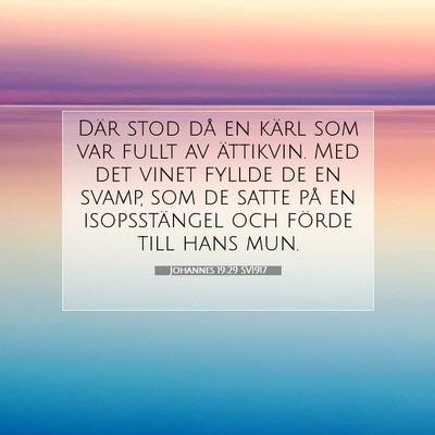 Picture 07 - Johannes 19:29 SV1917 - Där stod då en kärl som var fullt av - Bible Verse Picture
