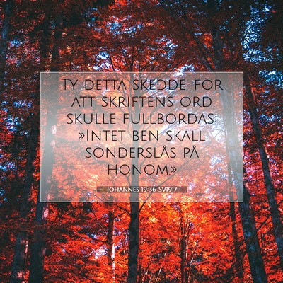 Picture 07 - Johannes 19:36 SV1917 - Ty detta skedde, för att skriftens ord skulle - Bible Verse Picture