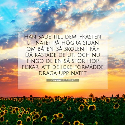 Picture 07 - Johannes 21:6 SV1917 - Han sade till dem: »Kasten ut nätet på högra - Bible Verse Picture