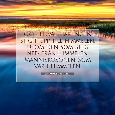 Picture 07 - Johannes 3:13 SV1917 - Och likväl har ingen stigit upp till himmelen, - Bible Verse Picture