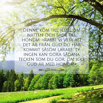 Picture 07 - Johannes 3:2 SV1917 - Denne kom till Jesus om natten och sade till - Bible Verse Picture