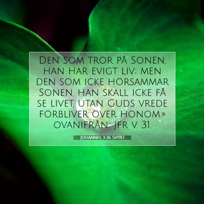 Picture 07 - Johannes 3:36 SV1917 - Den som tror på Sonen, han har evigt liv; men - Bible Verse Picture