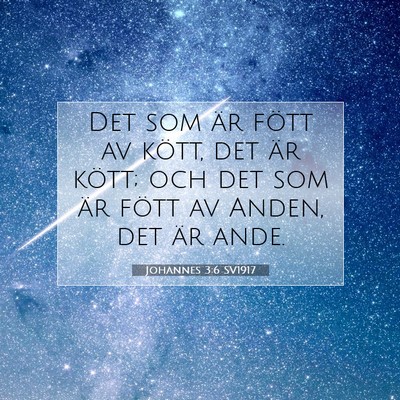Picture 07 - Johannes 3:6 SV1917 - Det som är fött av kött, det är kött; och - Bible Verse Picture