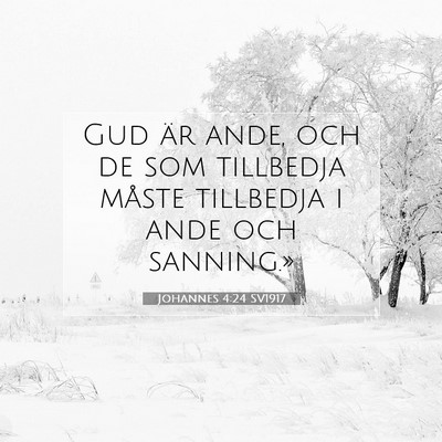 Picture 07 - Johannes 4:24 SV1917 - Gud är ande, och de som tillbedja måste - Bible Verse Picture