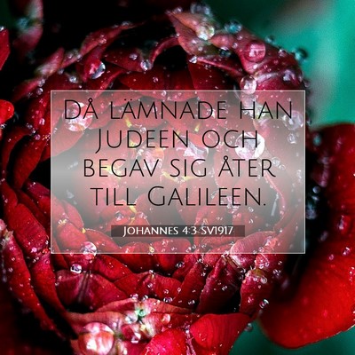 Picture 07 - Johannes 4:3 SV1917 - Då lämnade han Judeen och begav sig åter till - Bible Verse Picture