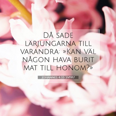 Picture 07 - Johannes 4:33 SV1917 - Då sade lärjungarna till varandra: »Kan väl - Bible Verse Picture
