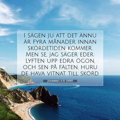 Picture 07 - Johannes 4:35 SV1917 - I sägen ju att det ännu är fyra månader innan - Bible Verse Picture