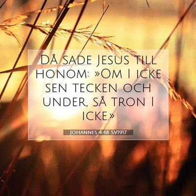 Picture 07 - Johannes 4:48 SV1917 - Då sade Jesus till honom: »Om I icke sen tecken - Bible Verse Picture