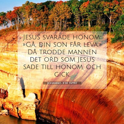 Picture 07 - Johannes 4:50 SV1917 - Jesus svarade honom: »Gå, din son får leva.» - Bible Verse Picture