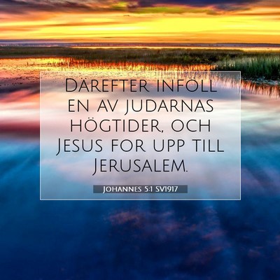 Picture 07 - Johannes 5:1 SV1917 - Därefter inföll en av judarnas högtider, och - Bible Verse Picture