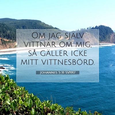 Picture 07 - Johannes 5:31 SV1917 - Om jag själv vittnar om mig, så gäller icke - Bible Verse Picture