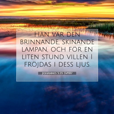 Picture 07 - Johannes 5:35 SV1917 - Han var den brinnande, skinande lampan, och för - Bible Verse Picture