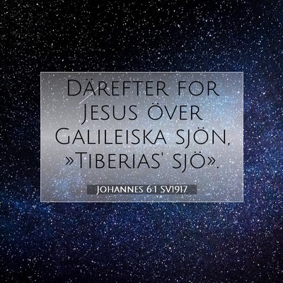 Picture 07 - Johannes 6:1 SV1917 - Därefter for Jesus över Galileiska sjön, - Bible Verse Picture
