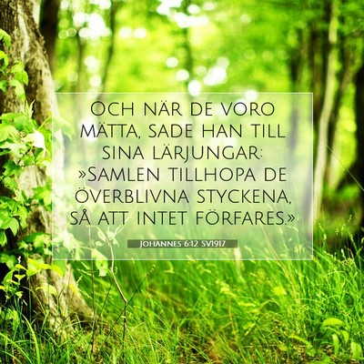 Picture 07 - Johannes 6:12 SV1917 - Och när de voro mätta, sade han till sina - Bible Verse Picture
