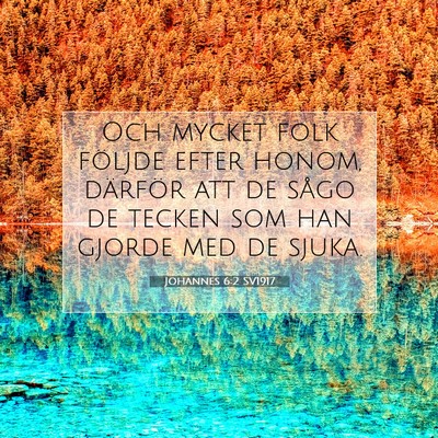 Picture 07 - Johannes 6:2 SV1917 - Och mycket folk följde efter honom, därför att - Bible Verse Picture