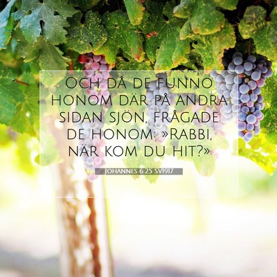 Picture 07 - Johannes 6:25 SV1917 - Och då de funno honom där på andra sidan - Bible Verse Picture