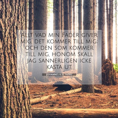 Picture 07 - Johannes 6:37 SV1917 - Allt vad min Fader giver mig, det kommer till - Bible Verse Picture