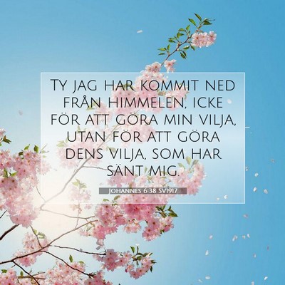 Picture 07 - Johannes 6:38 SV1917 - Ty jag har kommit ned från himmelen, icke för - Bible Verse Picture