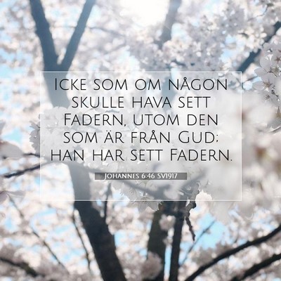 Picture 07 - Johannes 6:46 SV1917 - Icke som om någon skulle hava sett Fadern, utom - Bible Verse Picture