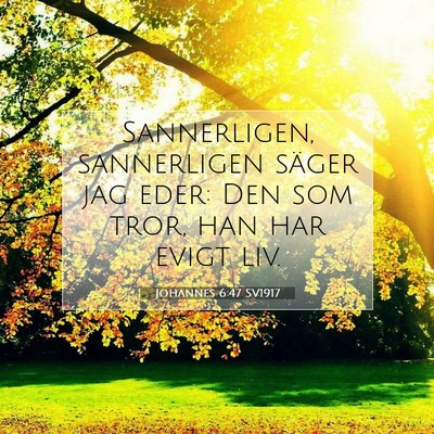 Picture 07 - Johannes 6:47 SV1917 - Sannerligen, sannerligen säger jag eder: Den som - Bible Verse Picture